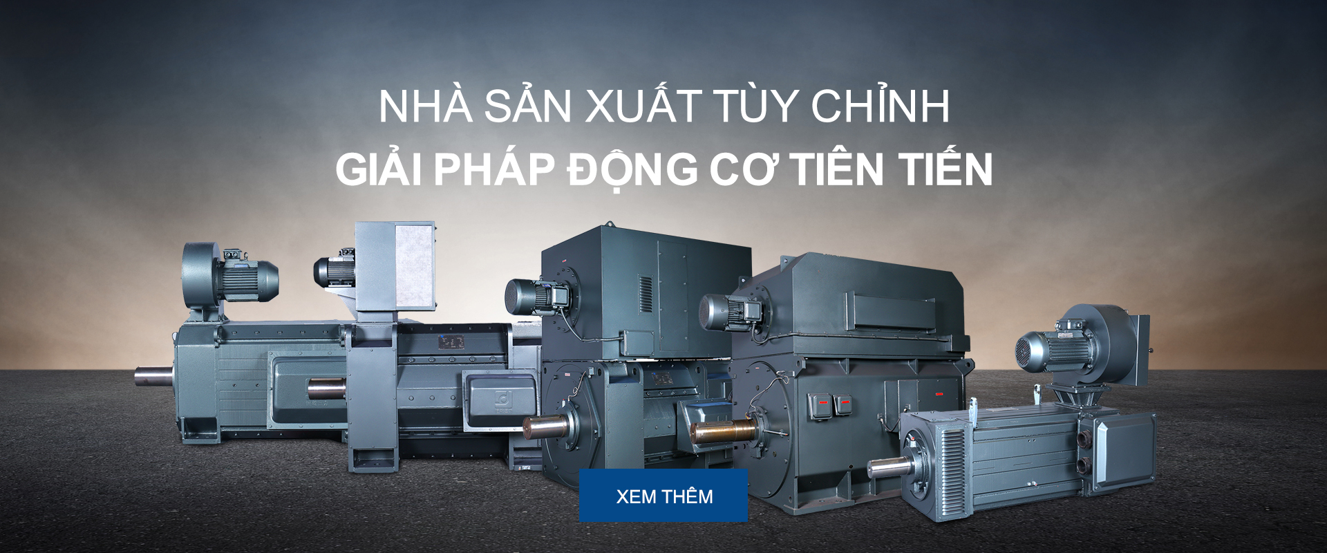 Các sản phẩm 